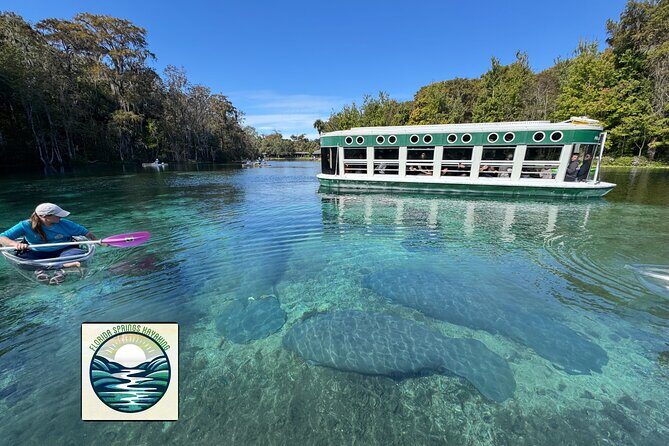 Private 2Hour Clear Kayak/ROC Paddle Board Rental on Silver River - The Sum Up