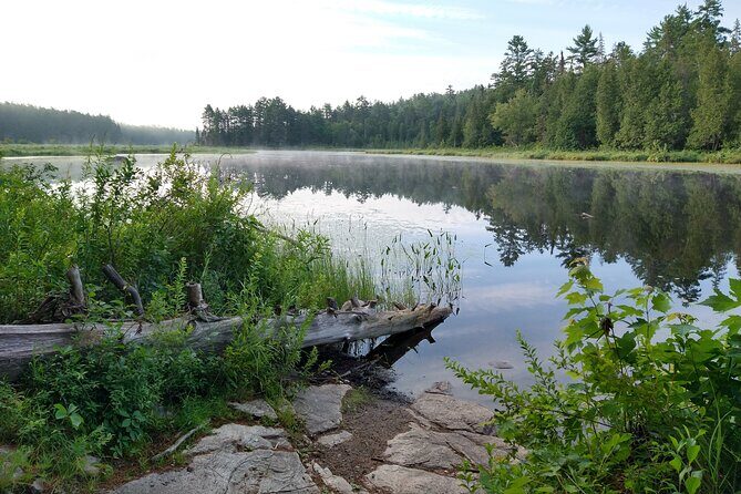 Private 4 Day Algonquin Park Backcountry Canoe Trip - The Experience: What Travelers Can Expect