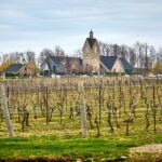 Private 5 Hour Wine Tour in Niagara-on-the-Lake - An In-Depth Look at the 5 Hour Wine Tour