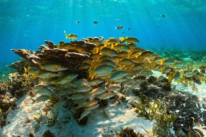 Private 6 Hours Yacht, Cancun to Isla Mujeres - FAQ