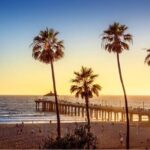 Private Airport Transfer from LAX to Your Hotel - Vehicle Options & Comfort