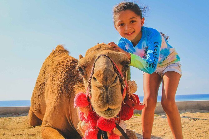 Private ATV and Camel Ride on a White Sand Beach - Who Is This Tour Best For?