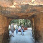 Private Avenue of the Giants Redwoods Day Trip from San Francisco - Comfort, Value, and Practical Details