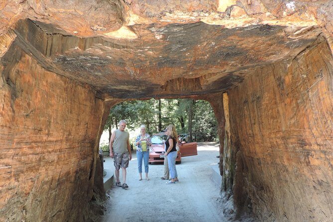 Private Avenue of the Giants Redwoods Day Trip from San Francisco - Comfort, Value, and Practical Details