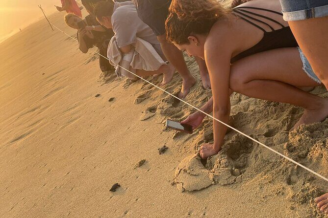 Private Baby Sea Turtle Release Huatulco HT - Transportation and Duration