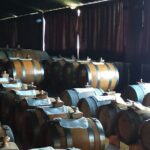 Private Balsamic vinegar & Parmigiano Reggiano factory visits - Practical Details & Tips