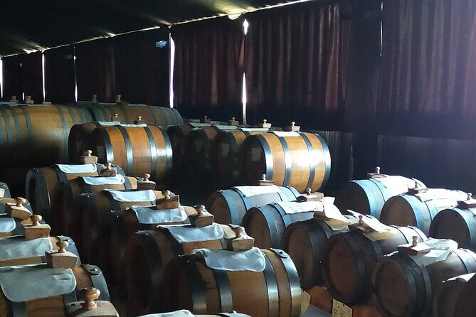 Private Balsamic vinegar & Parmigiano Reggiano factory visits - Practical Details & Tips