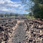 Private Big Island: History & Local Market Tour (Up to 12) - Inclusions and Practical Details