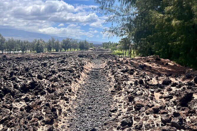 Private Big Island: History & Local Market Tour (Up to 12) - Inclusions and Practical Details