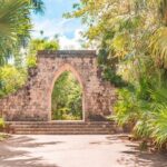 Private Birdwatching Tour with a Guide in Cozumel - FAQ