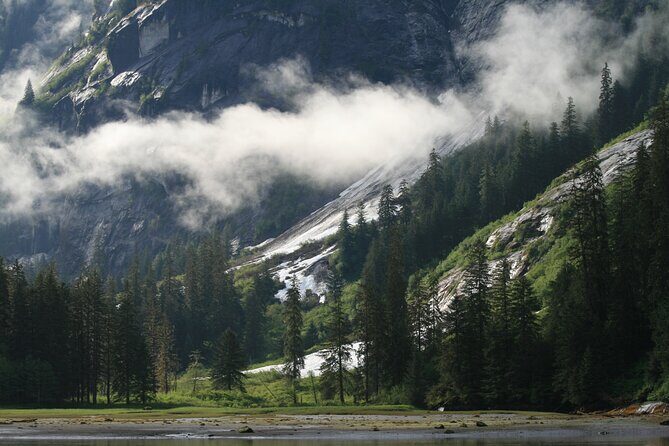 Private Boat Tour of Misty Fjords from Ketchikan - Why This Tour Offers Great Value