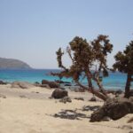 Private Boat trip from Sfakia to Elafonisi - Why You Should Consider This Tour