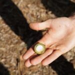 Private Botanical Garden Experience in the Heart of Maui - The Itinerary in Detail: What You Can Expect