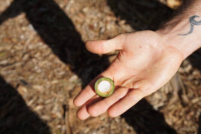 Private Botanical Garden Experience in the Heart of Maui - The Itinerary in Detail: What You Can Expect