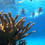 Private Catamaran in Cozumel: El Cielo and Turtle Sanctuary - Final Thoughts