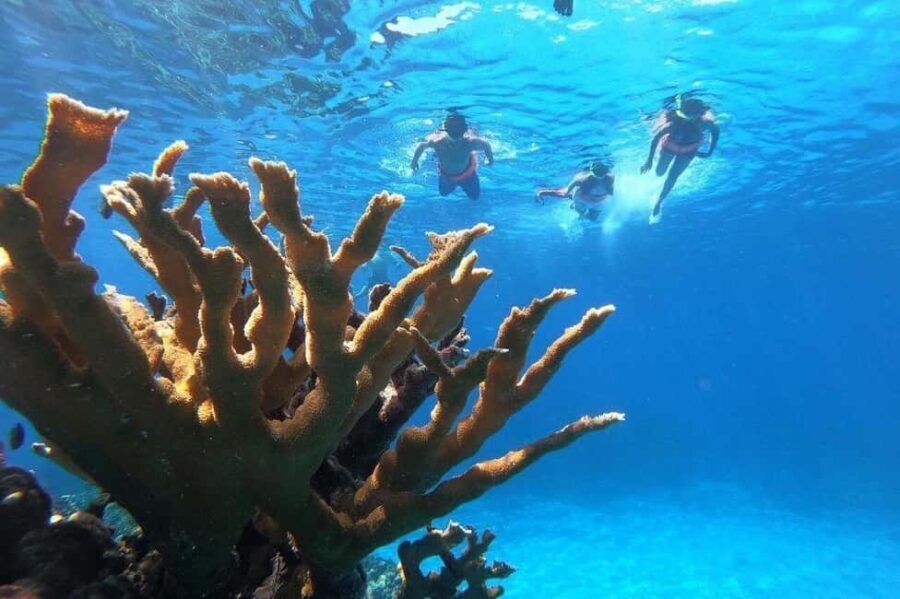 Private Catamaran in Cozumel: El Cielo and Turtle Sanctuary - Final Thoughts