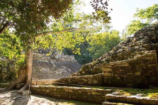 Private Coba Express - What to Expect from the Private Coba Express Tour