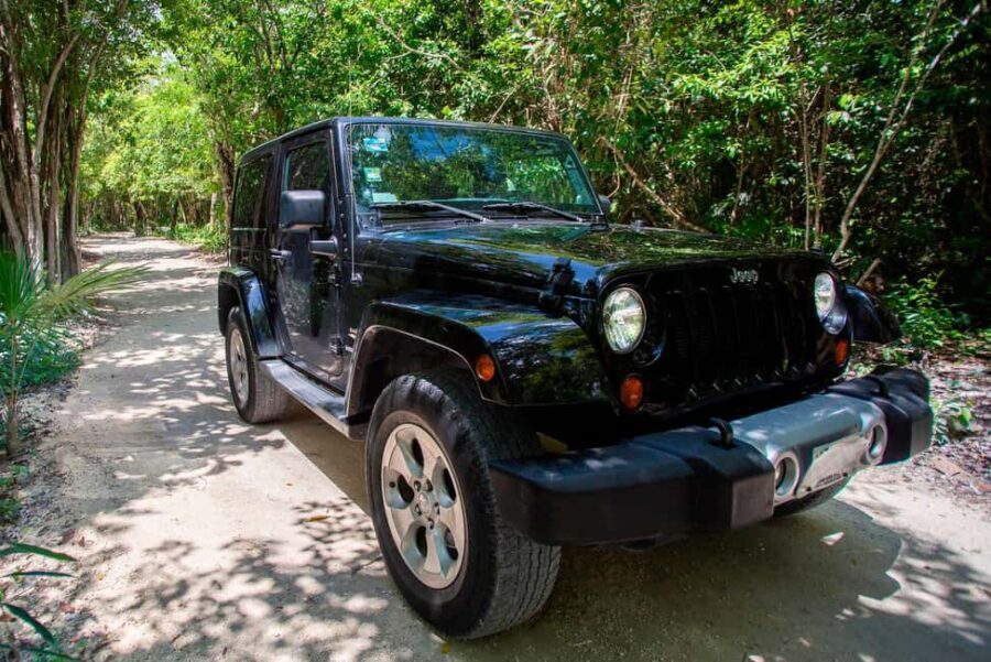Private Cozumel Jeep and Jade Cavern Cenote Tour - Who Should Book This Tour?  