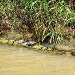 Private Day Tour: Aladzha, Varna, Pobiti Kamani, Kamchia - What Makes This Tour Stand Out?