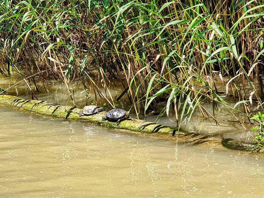 Private Day Tour: Aladzha, Varna, Pobiti Kamani, Kamchia - What Makes This Tour Stand Out?