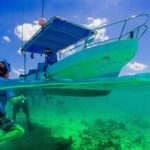 Private Day Trip From Cancun To Tulum, English Speaking Driver - Who Will Love This Tour?