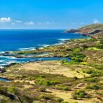 Private Driving Tour of Oahu Scenic South Shore - Transportation and Timing