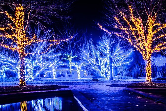 Private Enchanting Nashville Christmas Lights Tour - What to Expect from the Transportation