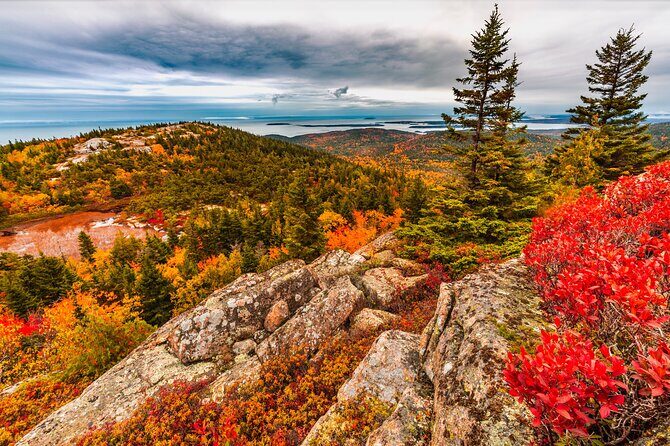 Private Exploration Tour of the Top Spots of Acadia - Practical Insights and Value