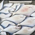 Private Fishing Adventure in Icy Strait Hoonah Alaska - The Sum Up