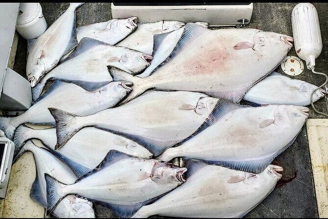 Private Fishing Adventure in Icy Strait Hoonah Alaska - The Sum Up