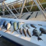 Private Fishing Charter in North Myrtle Beach - Practical Tips