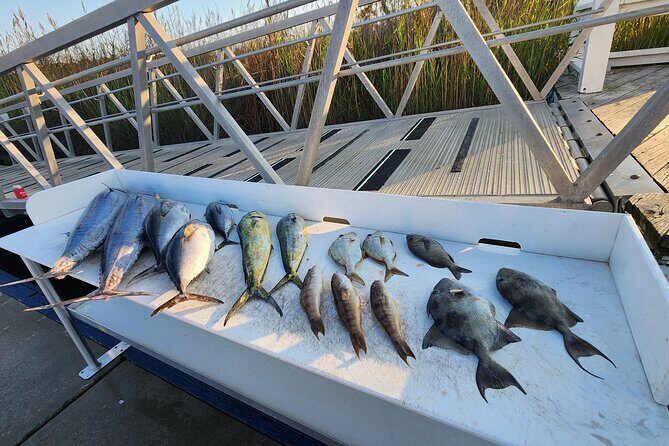 Private Fishing Charter in North Myrtle Beach - Practical Tips