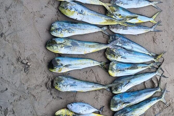 Private Fishing Experience in Guayabitos - Fishing Experience: What to Expect