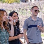 Private Four-Hour Wine Tasting Adventure of Temecula Valley - The Itinerary Breakdown