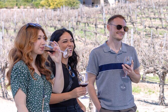 Private Four-Hour Wine Tasting Adventure of Temecula Valley - The Itinerary Breakdown