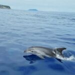 Private Full Day Boat Tour from Trogir - Create Your itinerary - What’s Included & What’s Not