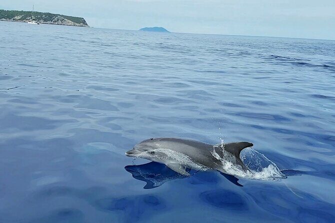 Private Full Day Boat Tour from Trogir - Create Your itinerary - What’s Included & What’s Not