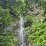 Private Full Day Tour from Batumi to Waterfalls - Comfort and Logistics