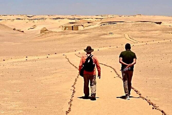 Private Full Day Tour to Fayoum Oasis with Transfer Included - Who Will Love This Tour?