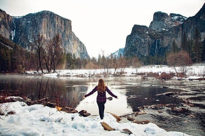 Private Full Day Yosemite National Park Tour from Cupertino - What Travelers Say About This Tour