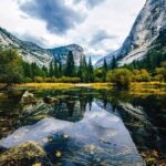 Private Full Day Yosemite National Park Tour from San Francisco - Authentic Insights from Reviewers