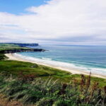 Private Giant's Causeway and Antrim Coast Tour - Who Will Love This Tour?