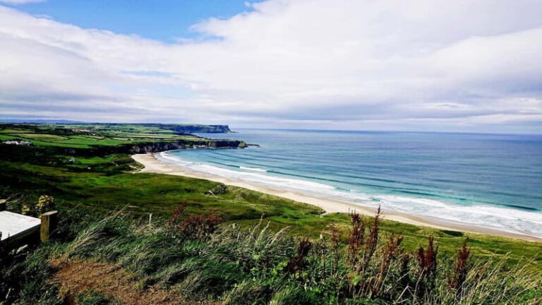 Private Giant's Causeway and Antrim Coast Tour - Who Will Love This Tour?