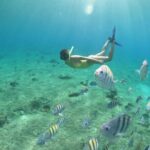 Private Glass Boat Tour of Cozumel with Snorkeling - The Marine Life and Snorkeling Experience