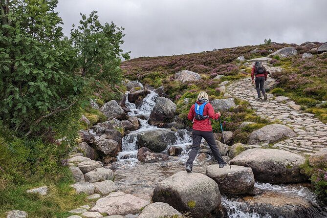Private Guided Discovery Walk in the Cairngorms - Final Thoughts