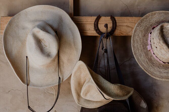 Private Guided Equine Meditation in Baja California - The Value of the Experience: Why It’s Special