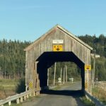 Private Guided Fundy Tour in Saint John - Transportation, Timing, and Group Size