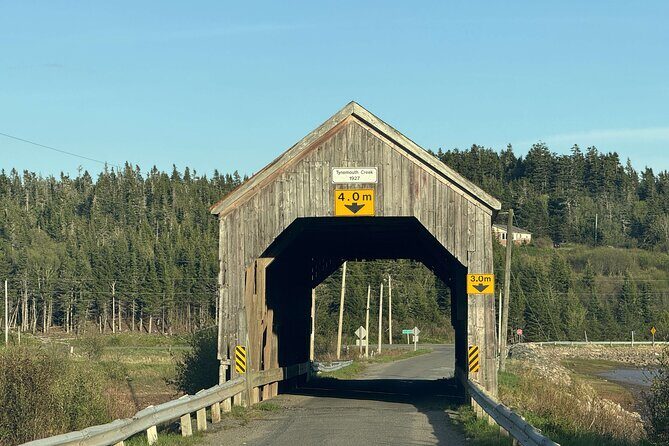 Private Guided Fundy Tour in Saint John - Transportation, Timing, and Group Size