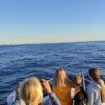 Private Guided Sunset Dolphin Watching in Adriatic Sea - The Experience of the Guides and the Boat