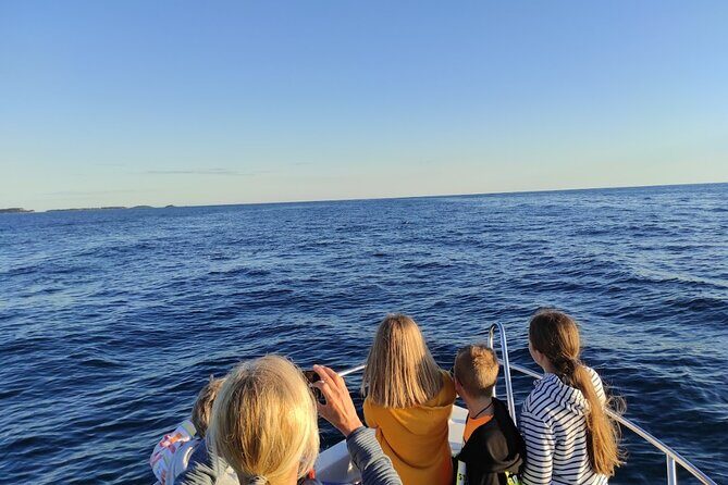 Private Guided Sunset Dolphin Watching in Adriatic Sea - The Experience of the Guides and the Boat